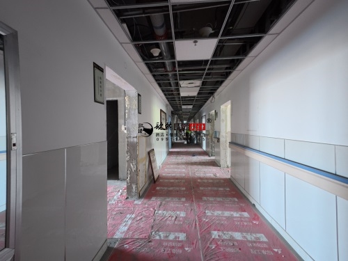 �y���k�����O(sh��)Ӌ(j��)�b���(xi��ng)Ŀ|�N���b�